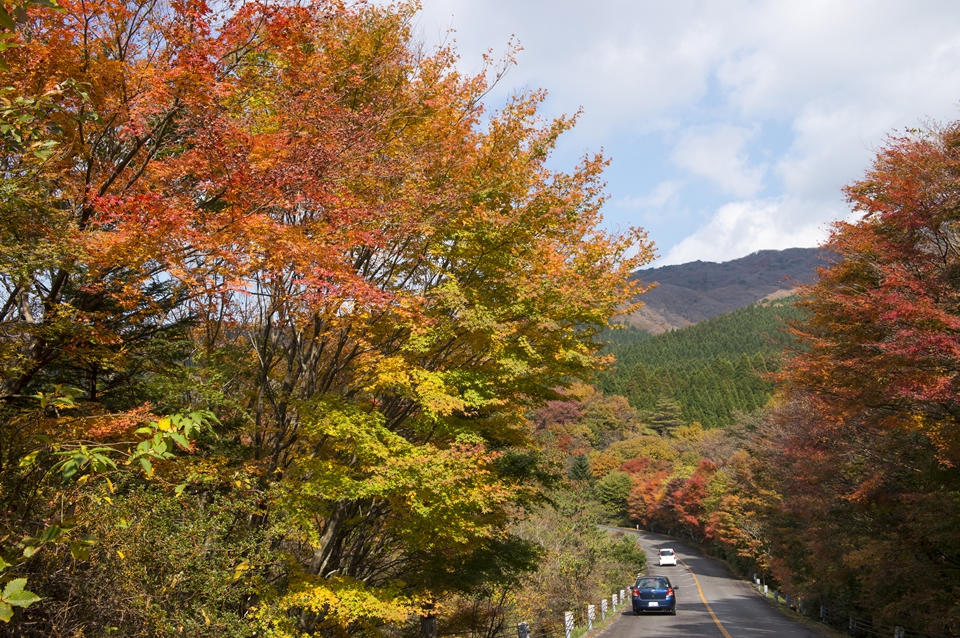 長崎県 ハウステンボス 佐世保 平戸 ツアー検索 格安予約 His 富士山静岡空港発