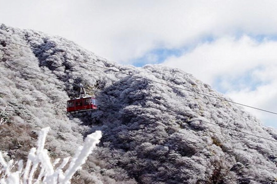 福岡県 久留米 原鶴 筑後川 ツアー検索 格安予約 His 羽田空港発
