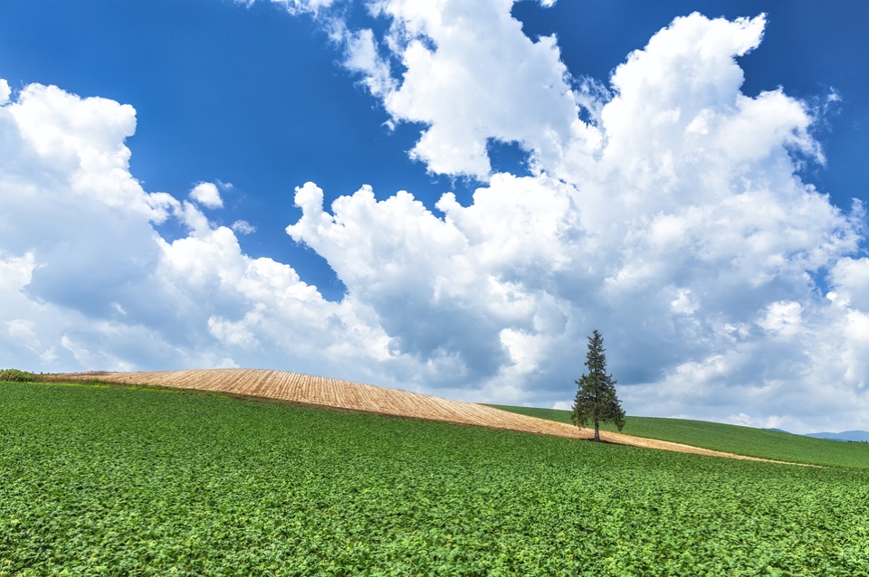 北海道（イメージ）