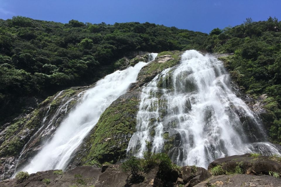 九州島旅行】 JAL+高速船利用! 屋久島の観光地をゆうらんバス 九州島旅行】 JAL+高速船利用! 屋久島の観光地をゆうらんバス