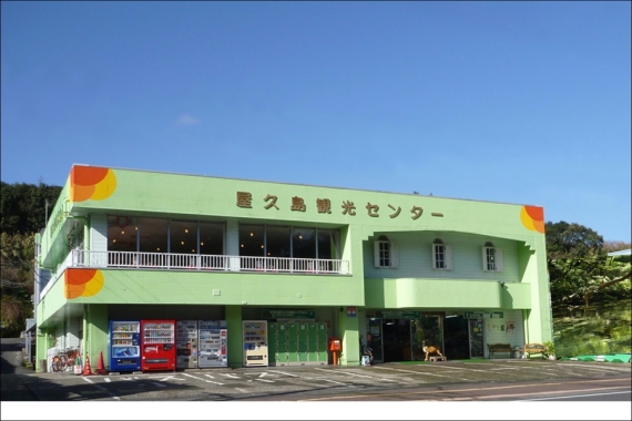 海運事業 - はいびすかす&ぶーげんびりあ