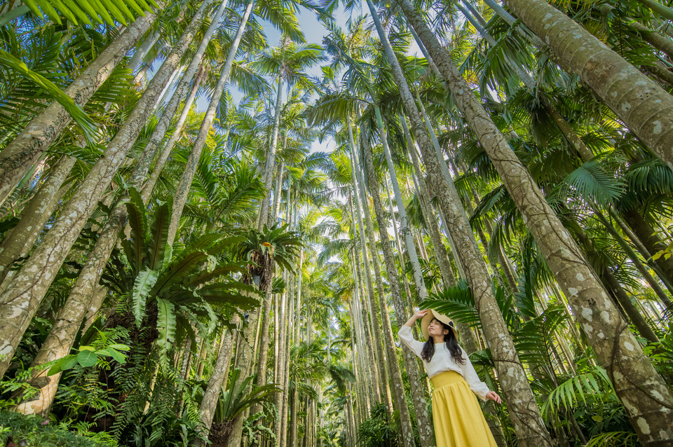 東南植物楽園（イメージ）