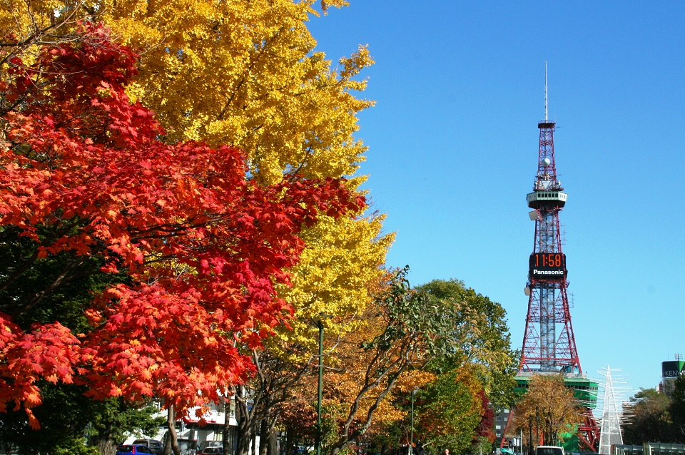 ＜札幌＞さっぽろテレビ塔（秋）（イメージ）