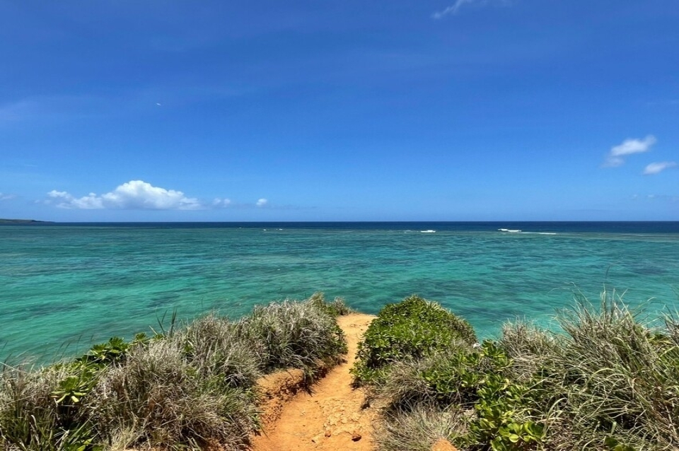 クルトン　沖縄県発　沖縄本島・宮古島のお届け先様限定　ES-HD63P クルトン様専用 沖縄県発 沖縄本島・宮古島のお届け先様限定 ES-HD63P