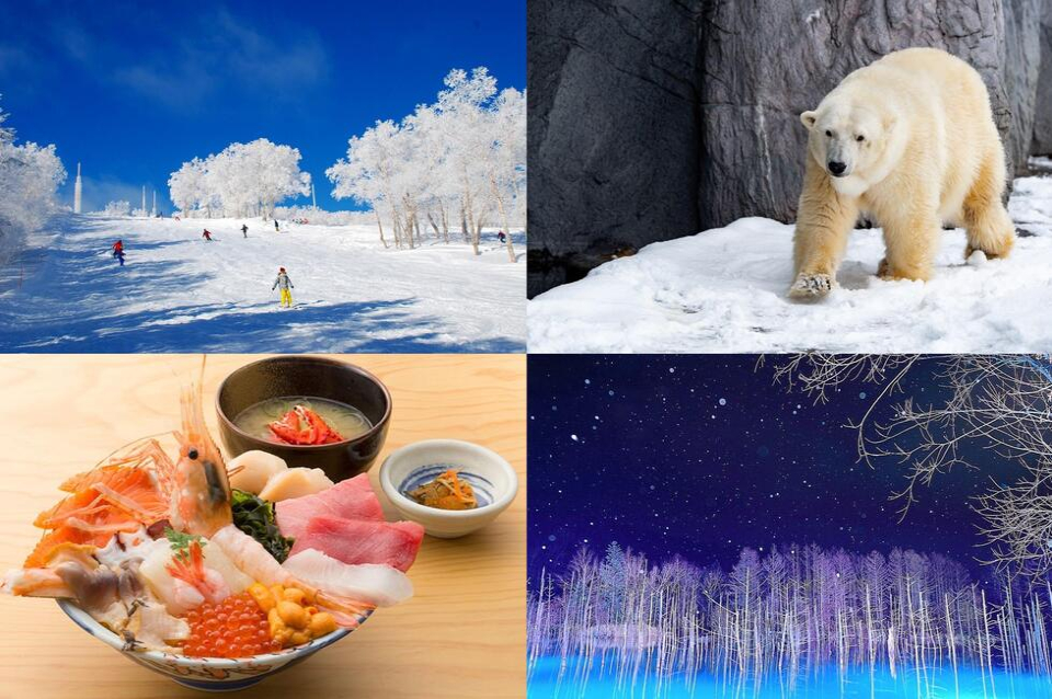 サッポロテイネスキー場＆バスツアー立ち寄り場所＆特典の海鮮丼（イメージ）