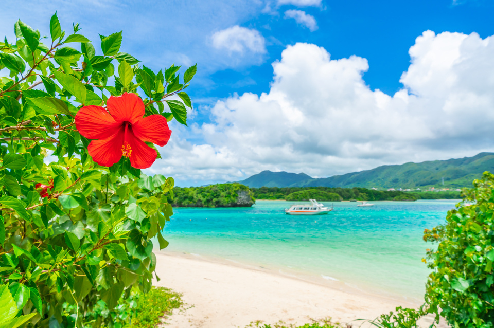 沖縄県 那覇 ツアー検索・格安予約【HIS 福岡空港発】