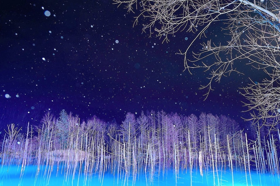 青い池ライトアップ（イメージ）