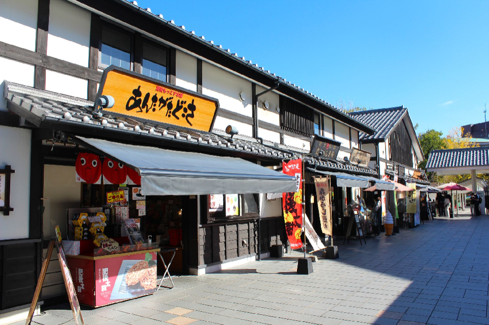 熊本県 阿蘇 ツアー検索・格安予約【HIS 羽田空港発】
