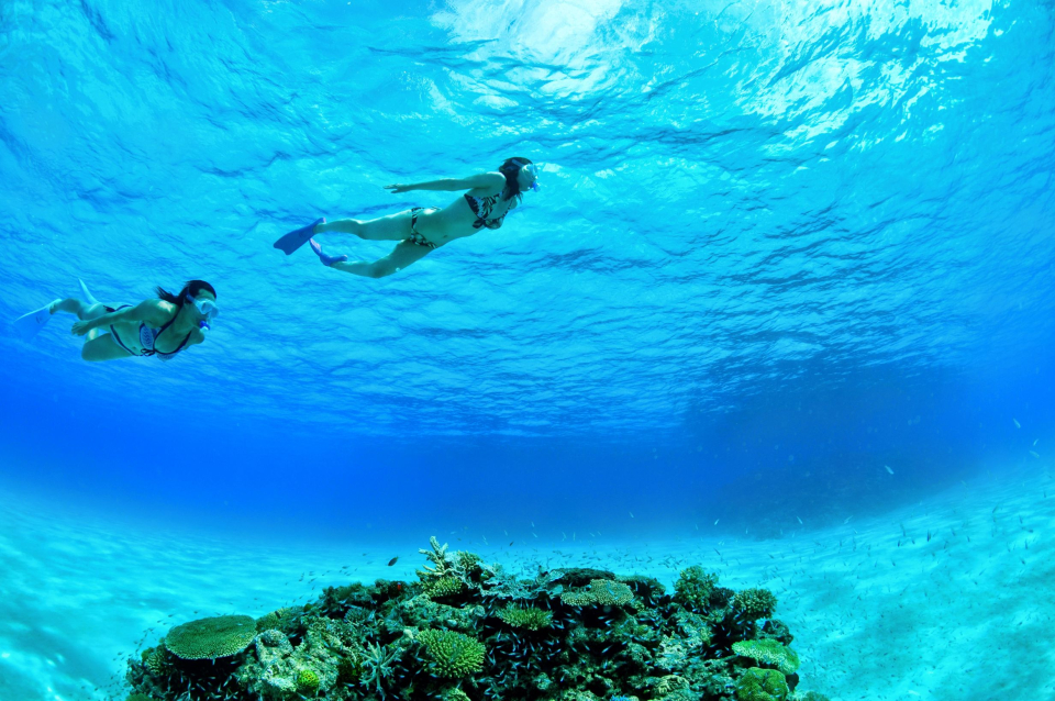 沖縄県 八重山諸島（石垣島・竹富島・与那国島・西表島） ツアー検索