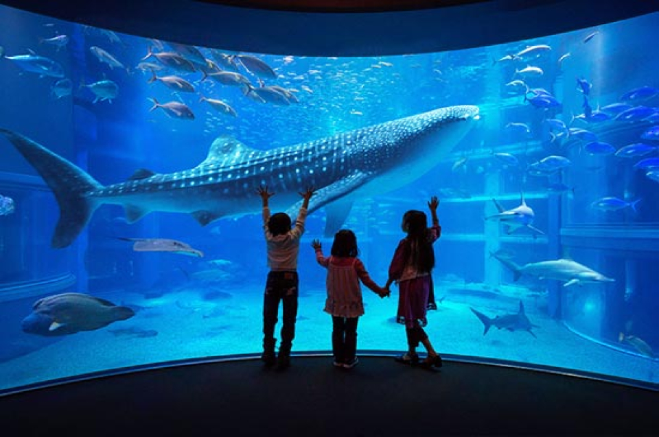 沖縄県 那覇 ツアー検索・格安予約【HIS 福岡空港発】