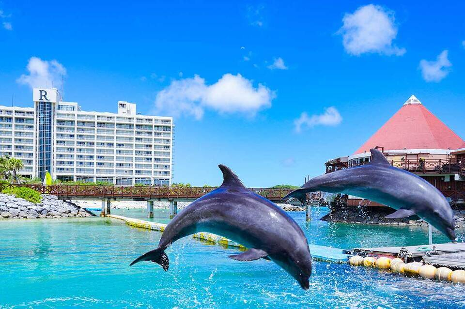 夏大満喫家族旅行＜スターナイトクルーズ付＞】沖縄 3日間【HIS名古屋発】
